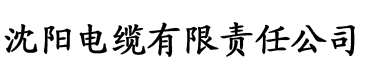 理论片免费大全电缆厂logo